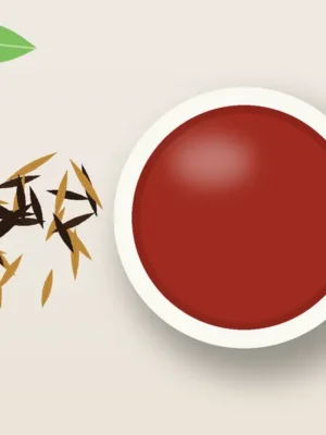 台灣紅茶：條索狀茶乾與紅艷茶湯插畫